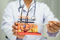© kanruthai - stock.adobe.com Foto: Arzt zeigt mit Kugelschreiber auf Modell von Haarwurzel